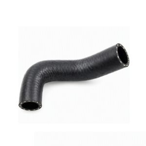 DURITE INFERIEURE DE RADIATEUR