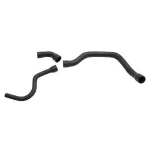 DURITE INFERIEURE DE RADIATEUR